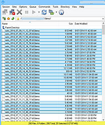 Delete files by date-selection-jpg