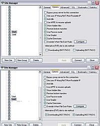 Problems with site to site transfers...-site_settings-jpg